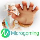 MICROGAMING